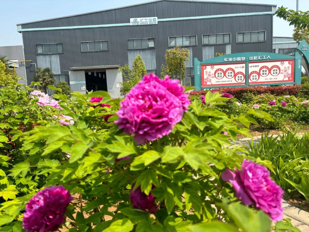 1733809971140.jpg 6.jpg