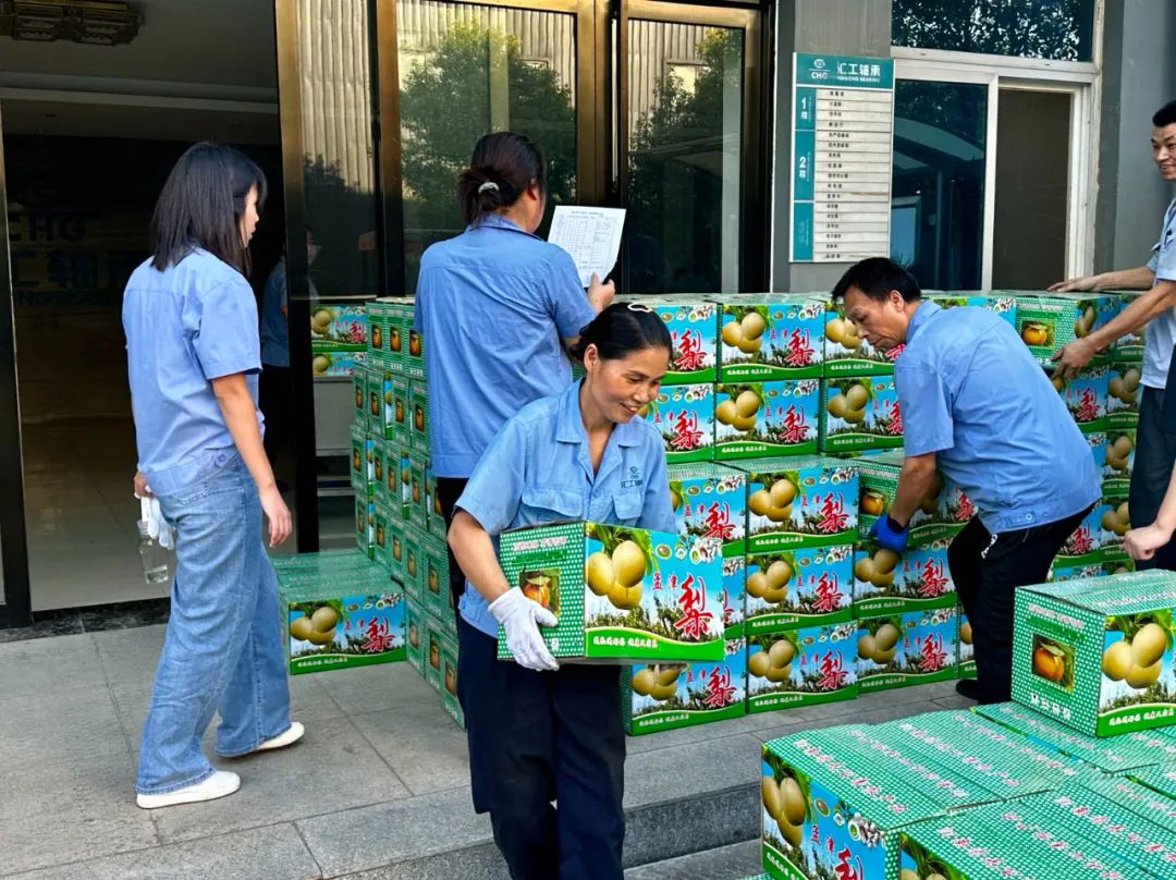 1733812384672.jpg 2.jpg